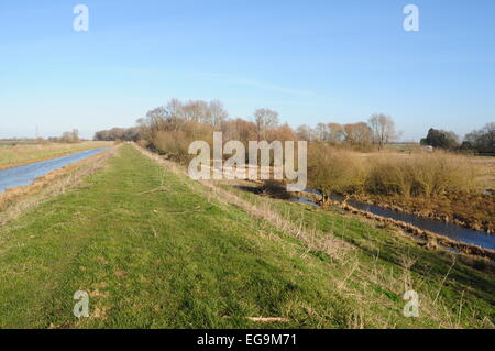 Il fiume Glen, a sinistra, e Baston Fen Nature Reserve, Lincolnshire Fens. Foto Stock