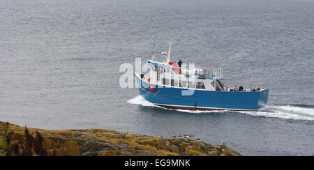 Billy Shiel della barca il lieto annunzio che porta i turisti al farne isole per vedere gli uccelli, da Seahouses in Northumberland. Foto Stock