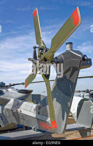 Close-up del rotore di coda su un AgustaWestland AW159 Wildcat HM2 elicottero Foto Stock