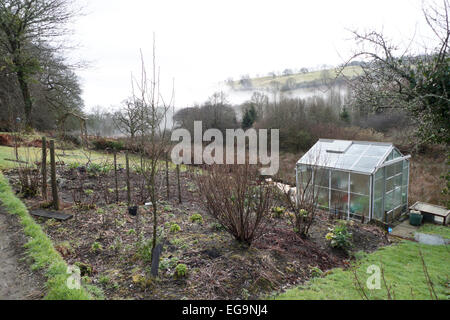 Carmarthenshire, Wales, Regno Unito. Venerdì 20 Febbraio 2015. Serra in un giardino rurale in un freddo secco invernale e nebbioso giorno di febbraio in Carmarthenshire, West Wales UK. Kathy deWitt/AlamyLiveNews Foto Stock