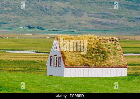 Tappeto erboso moderne case a Glaumbaer , Islanda. Foto Stock