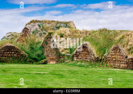 Turf case a Glaumbaer folk museum, Islanda. Foto Stock