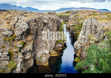 Thingvellir, rift geografica tra Europa e America del Nord, Islanda Foto Stock