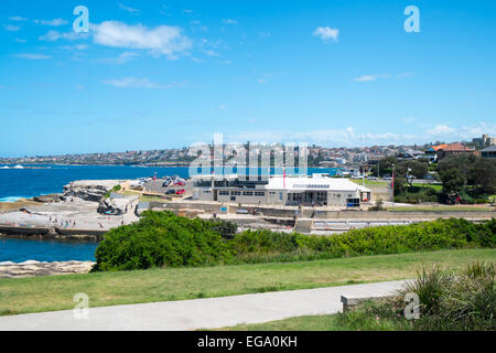 Guardando a sud verso clovelly beach e surf club e Gordon bay,sobborghi Orientali di Sydney, Australia Foto Stock