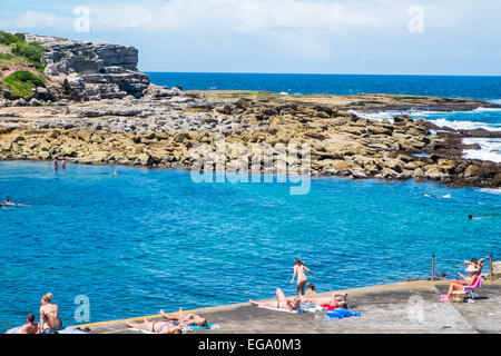 Fine campo e nuotare area a Clovelly Beach a Sydney's sobborghi orientali, australia Foto Stock