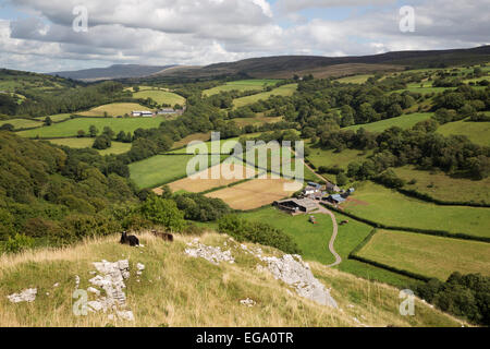 Vista sulle aziende agricole e di Montagna Nera da Carreg Cennen Castle, Llandeilo, Brecon Beacons, Carmarthenshire, Wales, Regno Unito Foto Stock