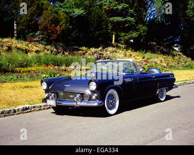 1956 Ford Thunderbird Foto Stock