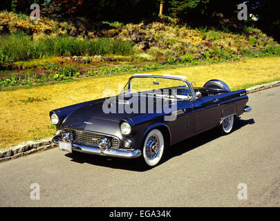 1956 Ford Thunderbird Foto Stock