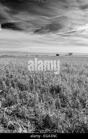 Campagna vicino Shattuck, Ellis County, Oklahoma, Stati Uniti d'America Foto Stock