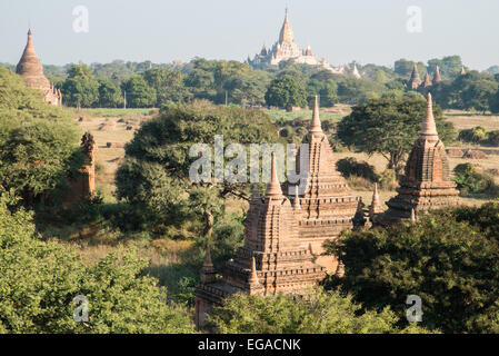 Pianure di Bagan,punteggiato pagano con centinaia di templi buddisti della Birmania, Myanmar. Grande Tempio di Ananda in distanza. Foto Stock
