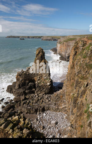 Vista da ovest Stackpole Testa, vicino a Pembroke, Il Pembrokeshire Coast National Park, Pembrokeshire, Wales, Regno Unito, Europa Foto Stock