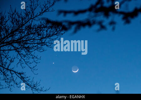 Stati Uniti d'America. Xx Febbraio, 2015. La falce di luna stasera con la terra-shine, Mars (Top), di Venere (fondo). Appena dopo il tramonto, la falce di luna si allinea con Marte e Venere per formare uno spettacolare show. Sarà sulla prossima notte come potranno persino appare più vicino. La ceratura crescent è illuminato da terra-SHINE. Credito: Jim DeLillo/Alamy Live News Foto Stock