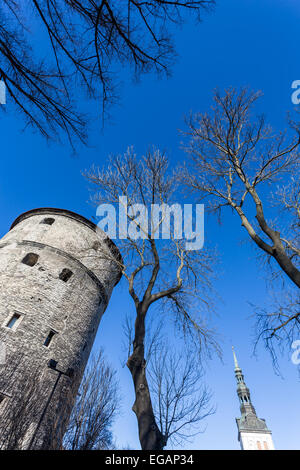 Vista della fortezza di torri e chiesa sul cielo dello sfondo. Tallinn. Estonia Foto Stock