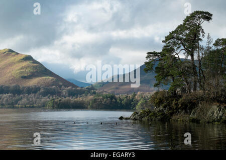 Vista sulla Derwent Water a Keswick nel Lake District inglese Foto Stock