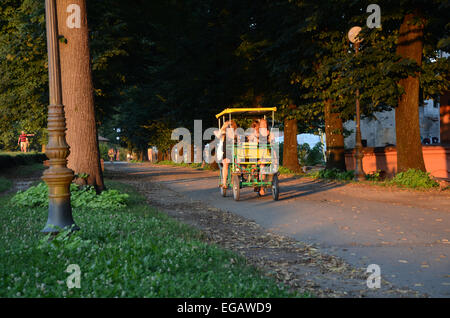 Le mura della città Lucca Italia Italy Foto Stock