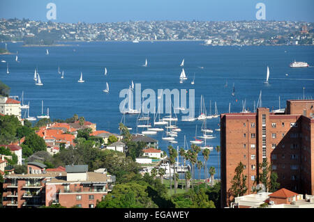 Vista di Cockle Bay (Sydney) è una piccola baia in all interno della città di Sydney il 24 gennaio 2015 nel Nuovo Galles del Sud, Australia. Foto Stock