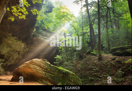 Grotta di cenere a Hocking Hills State Park, Ohio, Stati Uniti d'America Foto Stock