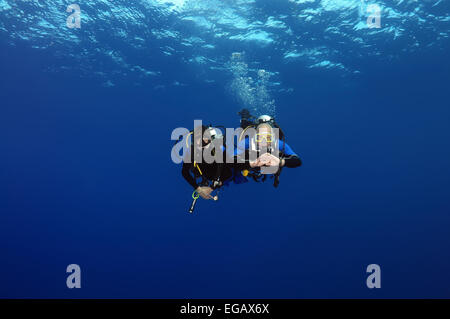 Nuoto subacqueo in acqua blu in Mar Rosso, Egitto, Africa Foto Stock