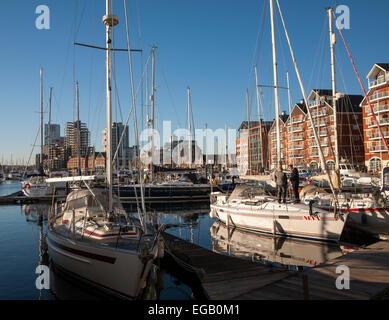 Yacht ormeggiati a Marina nella Darsena, Ipswich, Suffolk, Inghilterra, Regno Unito Foto Stock