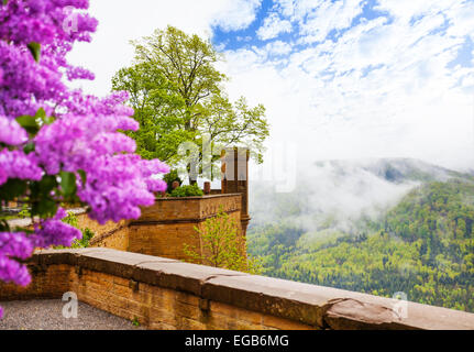 Vista nella foschia da Hohenzollern Castello con fiore Foto Stock