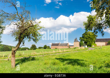 Una strada di campagna che conduce alla vecchia fattoria fortificata di edifici come un piccolo castello nel nord di Eifel, Germania con un prato verde in th Foto Stock