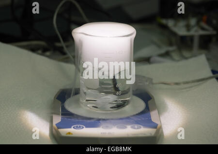 Il ghiaccio secco reagire con l'acqua posta in vetreria di laboratorio durante strirring magnetico Foto Stock