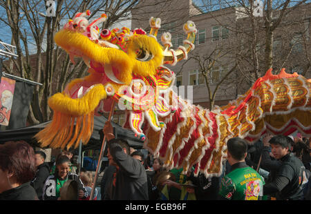 Dragon Dance, nuovo anno lunare cinese celebrazioni, Seattle, Chinatown, 21 Febbraio 2015 Foto Stock