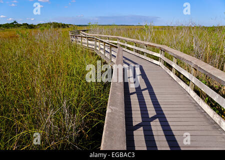 Parco nazionale delle Everglades boardwalk su Anhinga Trail a Royal Palm. Foto Stock