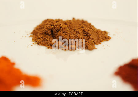 Garam Masala Spice Foto Stock