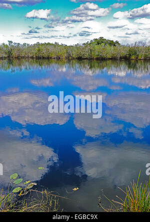 Parco nazionale delle Everglades, "fiume d'erba" in Florida. Foto Stock