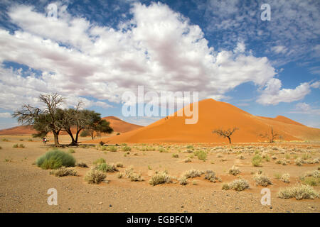 Le dune di sabbia rossa 45 del Sossusvlei desert, Namibia Foto Stock