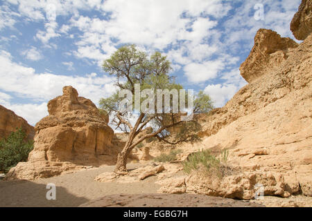 Il Sesriem Canyon in Sossusvlei, Namibia Foto Stock