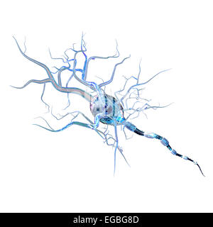 Le cellule nervose, concetto per malattie neurologiche, tumori e chirurgia cerebrale. Foto Stock