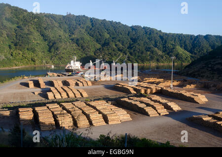 Registri su Wharf, in attesa di caricamento sulla nave, Picton Marlborough, South Island, in Nuova Zelanda. Foto Stock