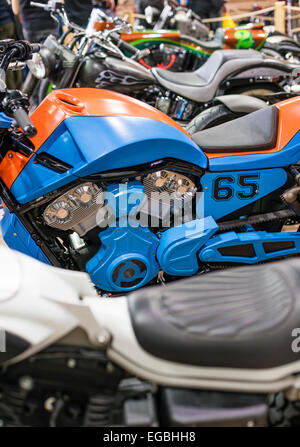 Zurigo, Svizzera. Xx Febbraio 2015. Non deve essere sempre cromo brillante: line-up di spectactular custom bike all''Swiss-Moto' motorcycle show di Zurigo. Credito: thamerpic/Alamy Live News Foto Stock