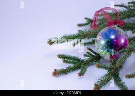 Colorate decorazioni di Natale sfera su un ramo di abete isolato su sfondo bianco Foto Stock