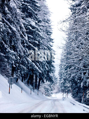 Alpino austriaco itinerario tra boschi in inverno tempo coperto da neve, Instagram-come filtro vintage aggiunto. Foto Stock