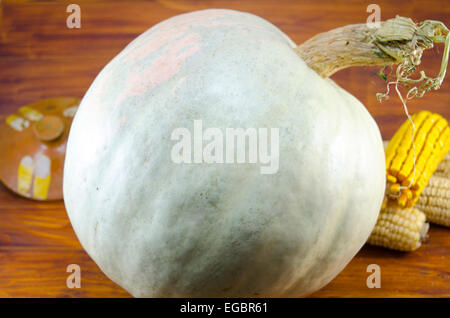 Enorme di zucca e di mais essiccato su un tavolo di legno Foto Stock