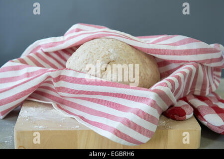 Aumento di pasta di pane a forma di sfera Foto Stock