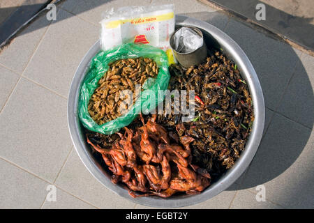 Un vassoio con insetti inclusi worm e scarafaggi poggia su una pompa di benzina isola in corrispondenza di una stazione di benzina in Kampong Cham, Cambogia. Foto Stock