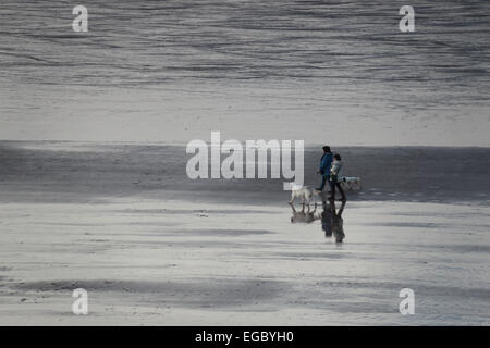 Due donne a piedi i cani sulla spiaggia Caswell Bay Gower South Wales UK Foto Stock