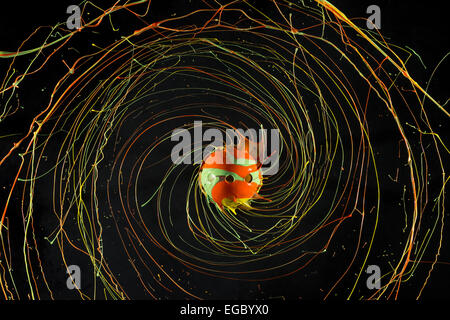 Di filatura ad alta velocità sentieri di streaming di liquido a colori rendono la forma a spirale a causa di turbolenza per azione centrifuga schizzi pasticcio Foto Stock