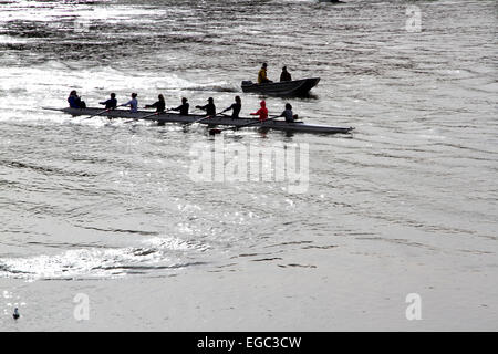 Putney, Londra, Regno Unito. Il 22 febbraio, 2015. I rematori provenienti da diversi club pratica sul Fiume Tamigi a Putney Credito: amer ghazzal/Alamy Live News Foto Stock