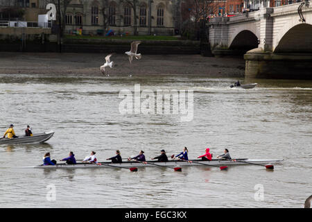 Putney, Londra, Regno Unito. Il 22 febbraio, 2015. I rematori provenienti da diversi club pratica sul Fiume Tamigi a Putney Credito: amer ghazzal/Alamy Live News Foto Stock