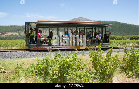 Stazione di tram per turisti attraverso vigneti a Franschhoek Western Cape Sud Africa visto qui passando per Rickey cantina a ponte Foto Stock