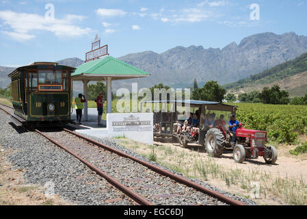 Il vino di tram attraverso vigneti nella Valle di Franschhoek Western Cape Sud Africa in treno per i visitatori. Foto Stock