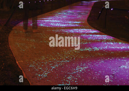 Dettaglio dal Van Gogh-Roosegaarde percorso ciclabile vicino a Eindhoven, Paesi Bassi. Foto Stock