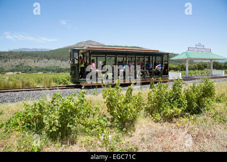 Stazione di tram per turisti attraverso vigneti a Franschhoek Western Cape Sud Africa visto qui passando per Rickey cantina a ponte Foto Stock