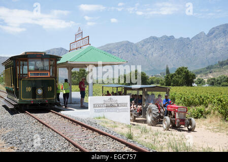 Il vino di tram attraverso vigneti nella Valle di Franschhoek Western Cape Sud Africa Foto Stock