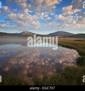 Nuvole riflettono in Swan Lake nel Parco Nazionale di Yellowstone, Wyoming Foto Stock